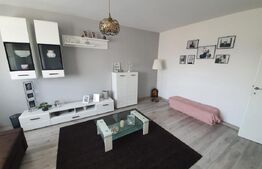Apartament 2 camere, 49.76 mp, zona Lapus Arges