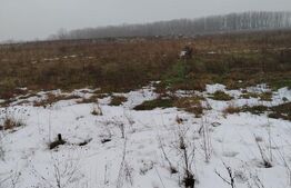 Teren 1000 mp, Cârcea, front 11,57m