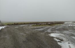 Teren 1000 mp, Cârcea, front 11,57m