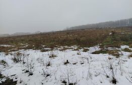 Teren 1000 mp, Cârcea, front 11,57m