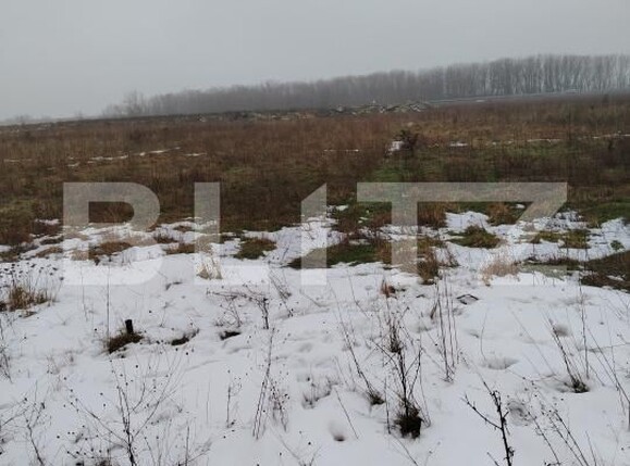 Teren de vânzare Carcea  - 186560TV | BLITZ Craiova | Poza2