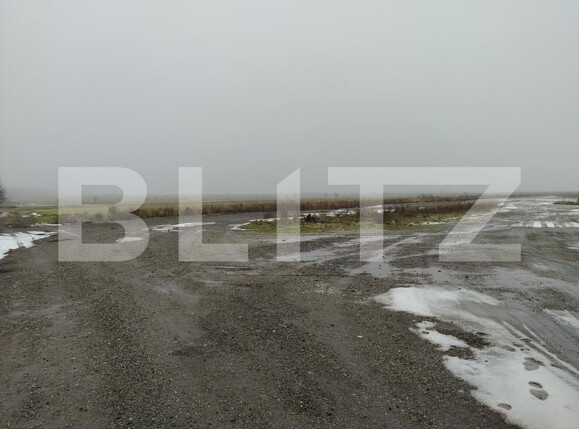 Teren de vânzare Carcea  - 186560TV | BLITZ Craiova | Poza3