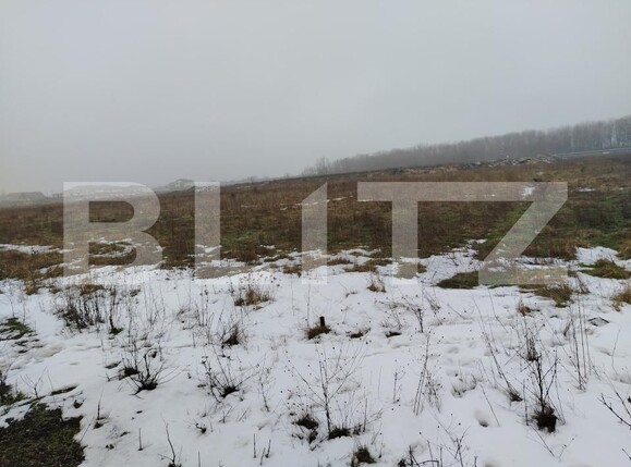 Teren de vânzare Carcea  - 186560TV | BLITZ Craiova | Poza1