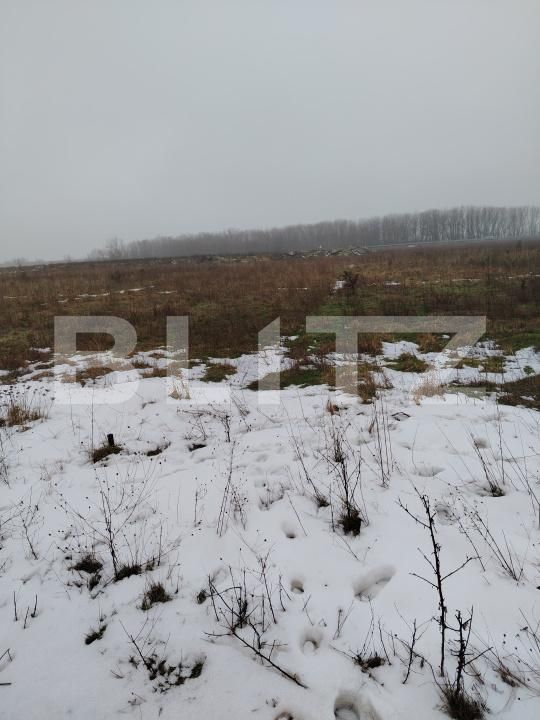 Teren de vânzare Carcea  - 186560TV | BLITZ Craiova | Poza2