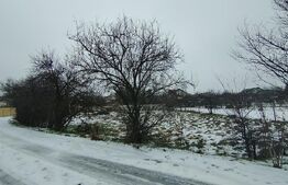 Teren 640 mp, Mischii, front 45,78 m