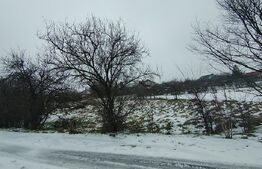 Teren 640 mp, Mischii, front 45,78 m