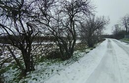 Teren de vânzare Nord-Est - 86609TV | BLITZ Craiova | Poza2