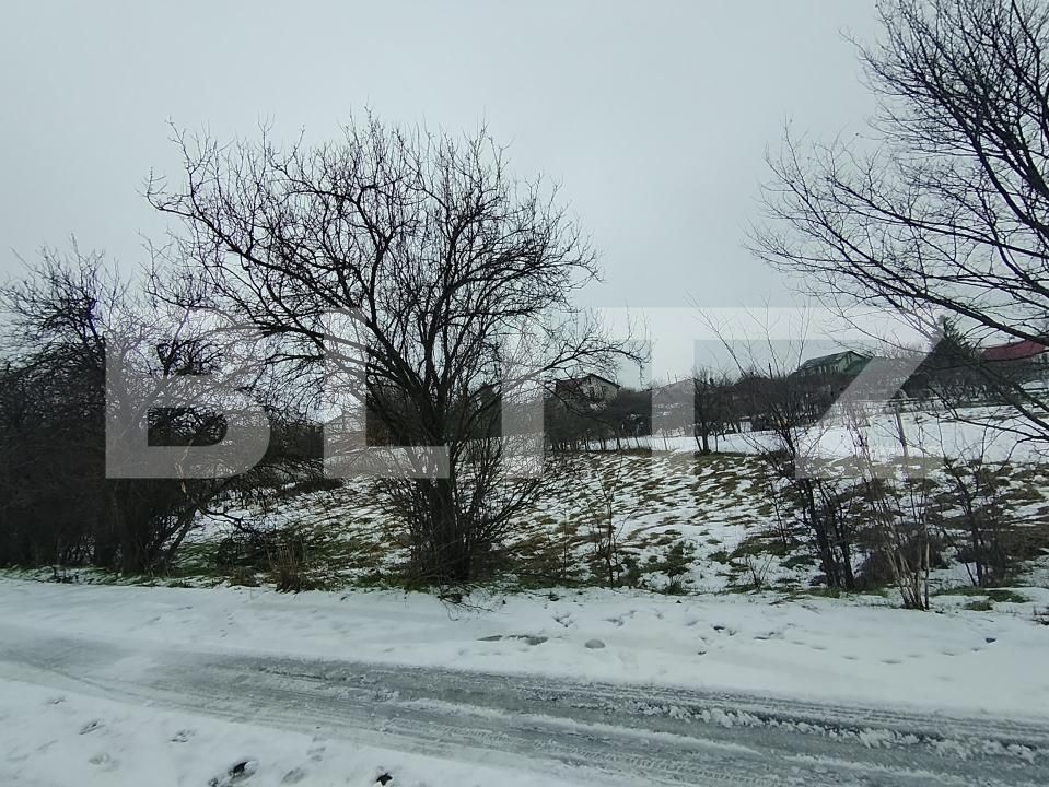 Teren de vânzare Mischii - 186561TV | BLITZ Craiova | Poza2