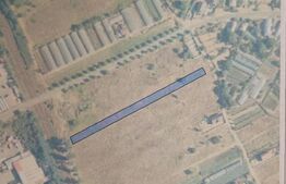 Teren de vânzare Brazda lui Novac - 65488TV | BLITZ Craiova | Poza1