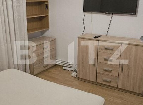 Apartament de închiriat 4 camere Lapus Arges - 186585AI | BLITZ Craiova | Poza12