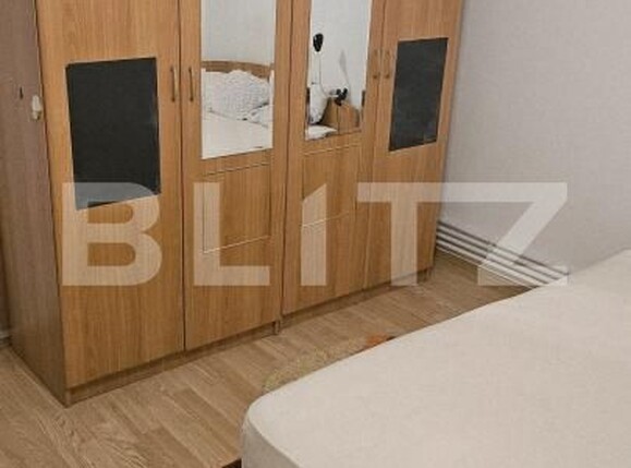 Apartament de închiriat 4 camere Lapus Arges - 186585AI | BLITZ Craiova | Poza10