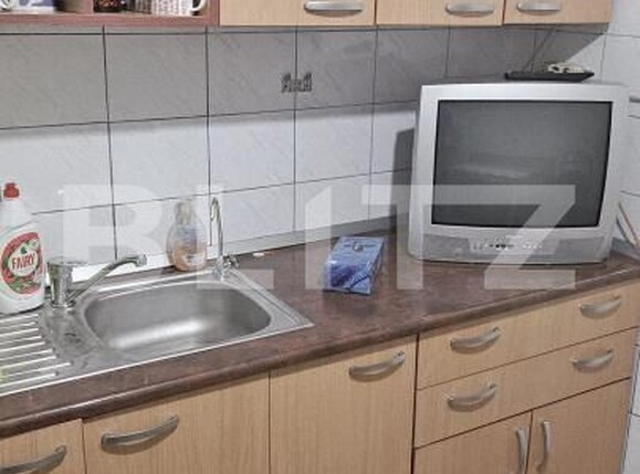 Apartament de închiriat 4 camere Lapus Arges - 186585AI | BLITZ Craiova | Poza21