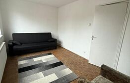 Apartament 2 camere, 49.10 mp, zona Brazda lui Novac