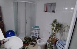 Casa P, 90 mp, 516 mp teren, deschidere 20 m, zona Romanesti - Bucura