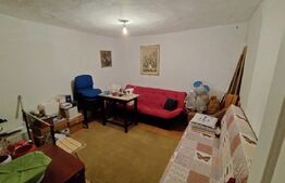 Casa P, 90 mp, 516 mp teren, deschidere 20 m, zona Romanesti - Bucura