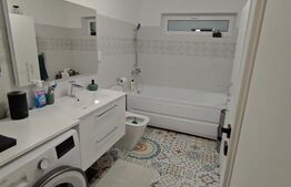 Casa P, 90 mp, 516 mp teren, deschidere 20 m, zona Romanesti - Bucura