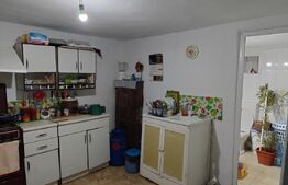Casa P, 90 mp, 516 mp teren, deschidere 20 m, zona Romanesti - Bucura