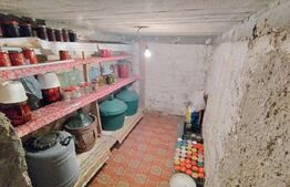 Casa P, 90 mp, 516 mp teren, deschidere 20 m, zona Romanesti - Bucura