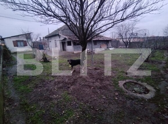 Casa de vânzare 4 camere Romanesti - 186601CV | BLITZ Craiova | Poza14