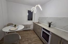 Apartament 2 camere, 50 mp, zona Brazda lui Novac