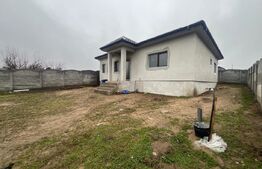 Casa plan parter 100 mpu, teren 450 mp, Malu Mare