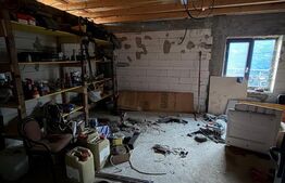 Casa , P+1, TEREN 1000 MP, Pielesti