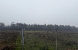 Teren langa padure ,500 mp intravilan, Drumul Muntenilor