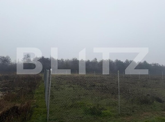 Teren de vânzare Bordei - 186852TV | BLITZ Craiova | Poza2