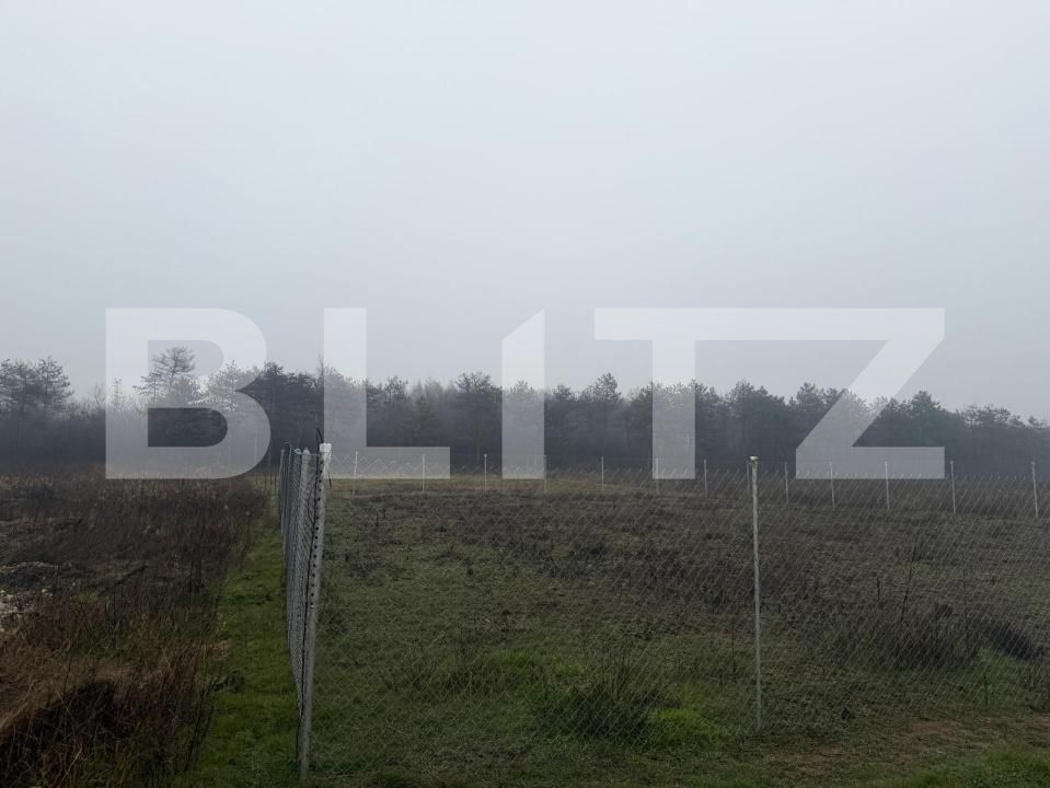 Teren de vânzare Bordei - 186852TV | BLITZ Craiova | Poza2