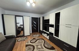 Garsoniera de inchiriat, 32 mp, Brazda lui Novac