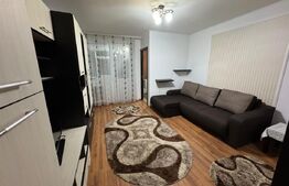 Garsoniera de inchiriat, 32 mp, Brazda lui Novac