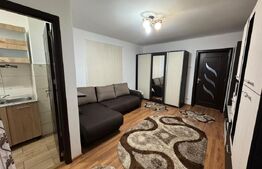 Garsoniera de inchiriat, 32 mp, Brazda lui Novac