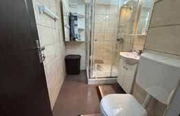 Garsoniera de inchiriat, 32 mp, Brazda lui Novac