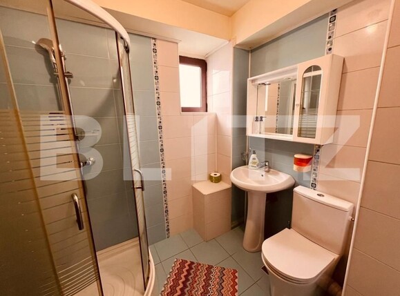 Spațiu comercial de închiriat Lapus - 186865SIC | BLITZ Craiova | Poza18