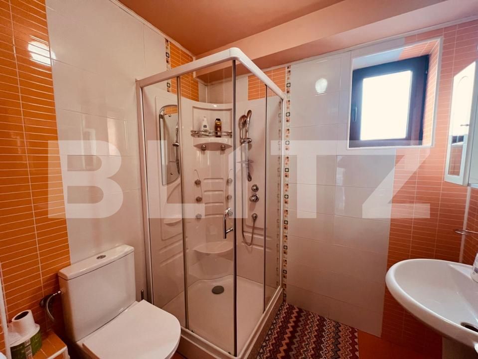 Spațiu comercial de închiriat Lapus - 186865SIC | BLITZ Craiova | Poza23