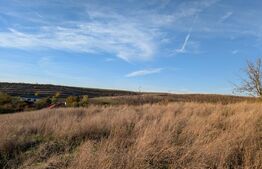 Teren intravilan ,Pielesti, 1835 mp , front 38m.