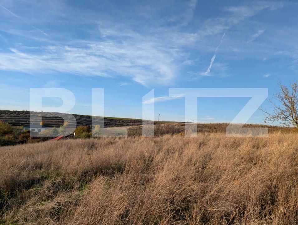 Teren de vânzare Pielești - 186912TV | BLITZ Craiova | Poza2
