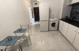 Garsoniera de inchiriat, 45 mp, centrala proprie,  zona Centrala