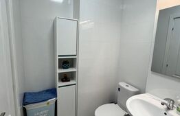 Garsoniera de inchiriat, 45 mp, centrala proprie,  zona Centrala