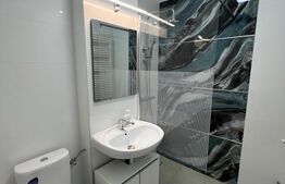 Garsoniera de inchiriat, 45 mp, centrala proprie,  zona Centrala