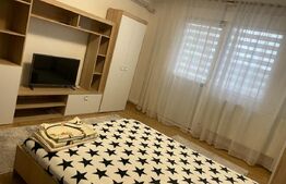 Garsonieră de vânzare, 32.87 mp utili, zona Brazda lui Novac