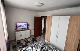 Apartament 2 camere, 46 mp, zona Calea Severinului 