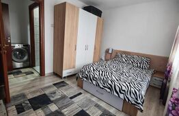 Apartament 2 camere, 46 mp, zona Calea Severinului 