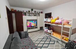 Apartament 2 camere, 46 mp, zona Calea Severinului 