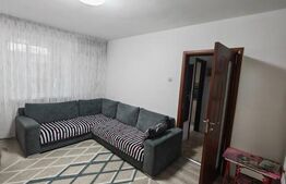 Apartament 2 camere, 46 mp, zona Calea Severinului 
