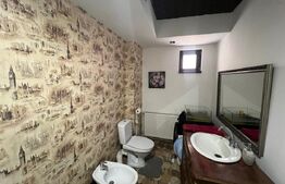 Casă P+1, 127 mp, teren 258 mp, zona Carpenului