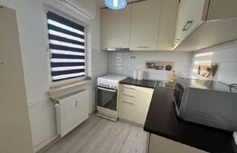 Garsoniera de inchiriat, 28 mp, zona Brazda lui Novac