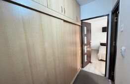 Garsoniera de inchiriat, 28 mp, zona Brazda lui Novac