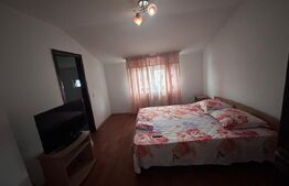 Spatii cazare, 10 camere cazare muncitori, 300 mp, cartier Romanesti