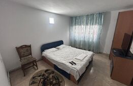 Spatii cazare, 10 camere cazare muncitori, 300 mp, cartier Romanesti